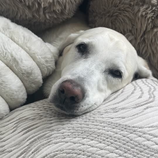 Maggie - August 25th, 2025